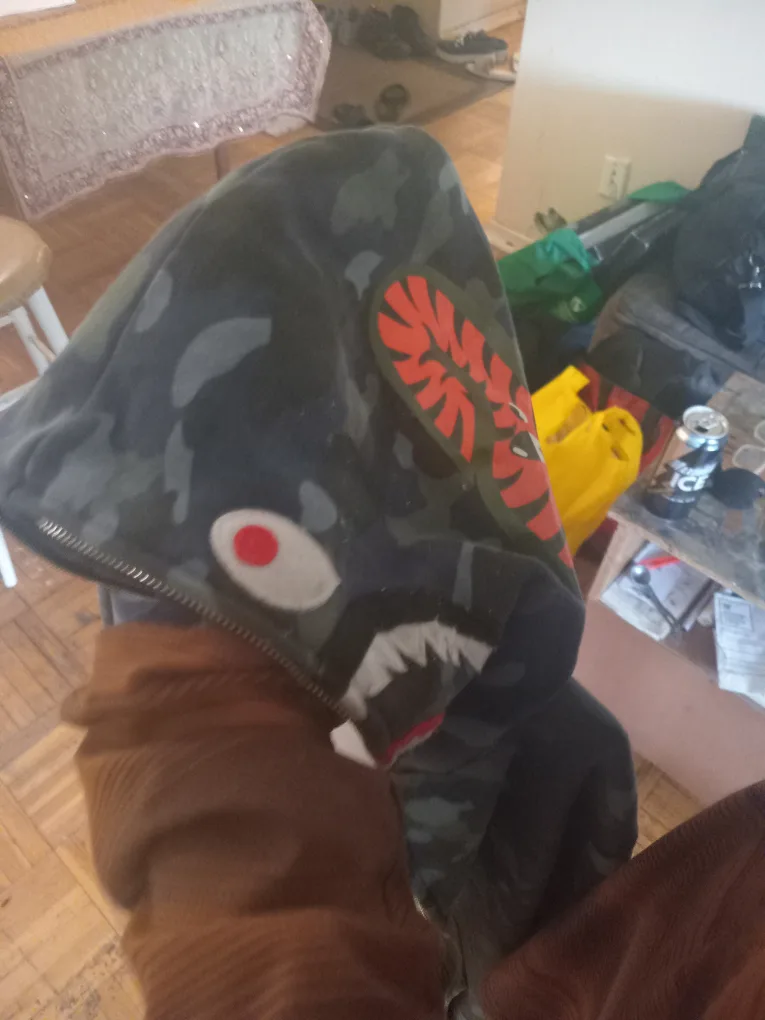 A Bathing Ape hoodie image indicator(2)