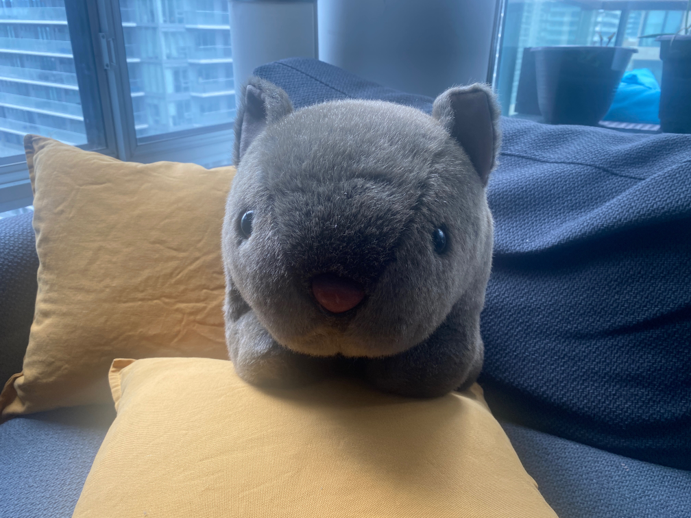 Life sized Stuffed Wombat - photo 2