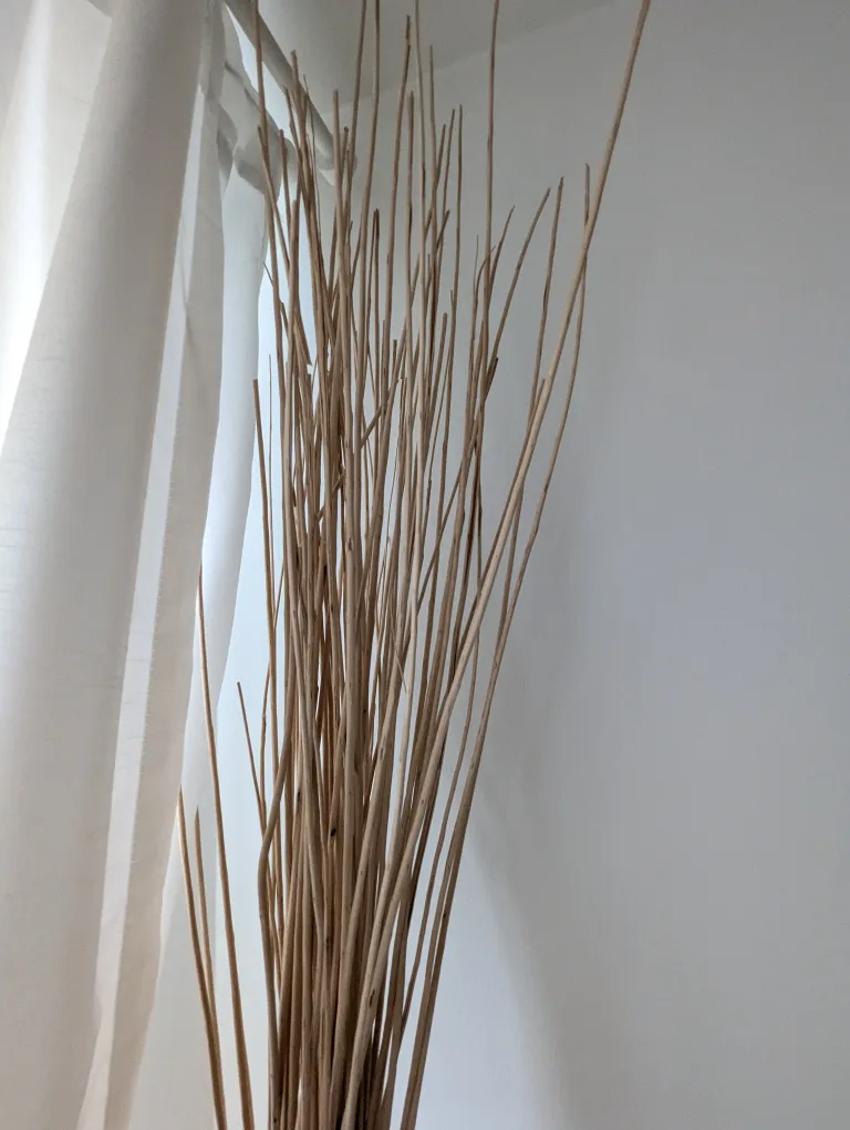 Decorative dried stems image indicator(3)