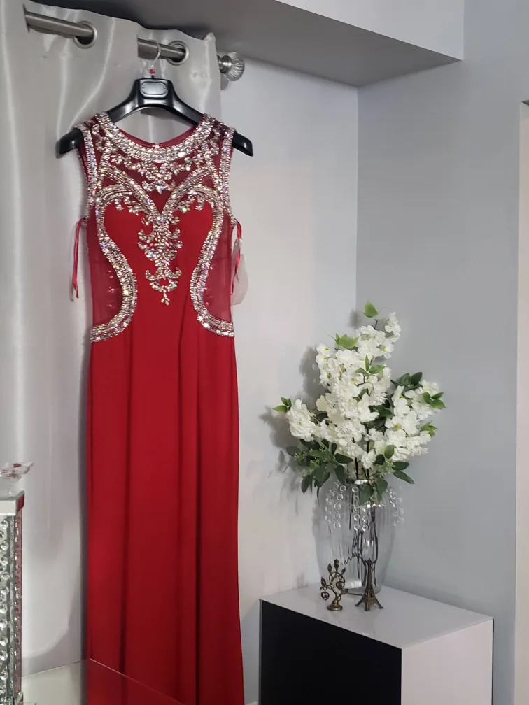 Elegant Red Evening Dress image indicator(3)