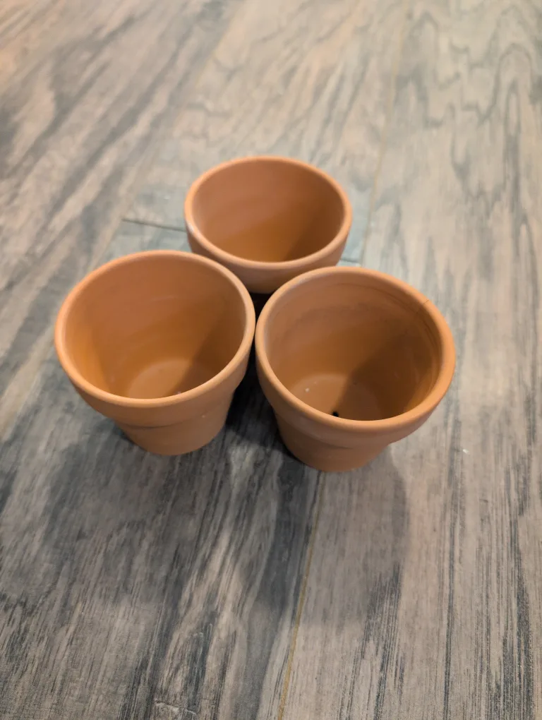 Assorted Decorative Flower Pots image indicator(7)