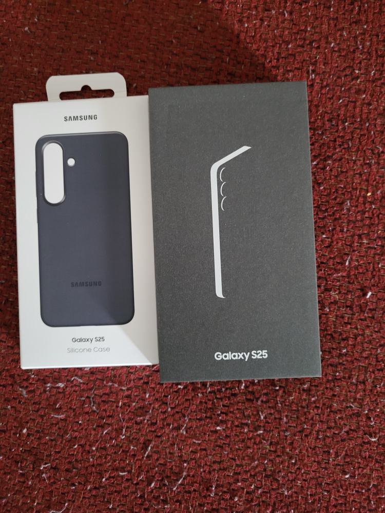 Sealed Samsung S25 with case