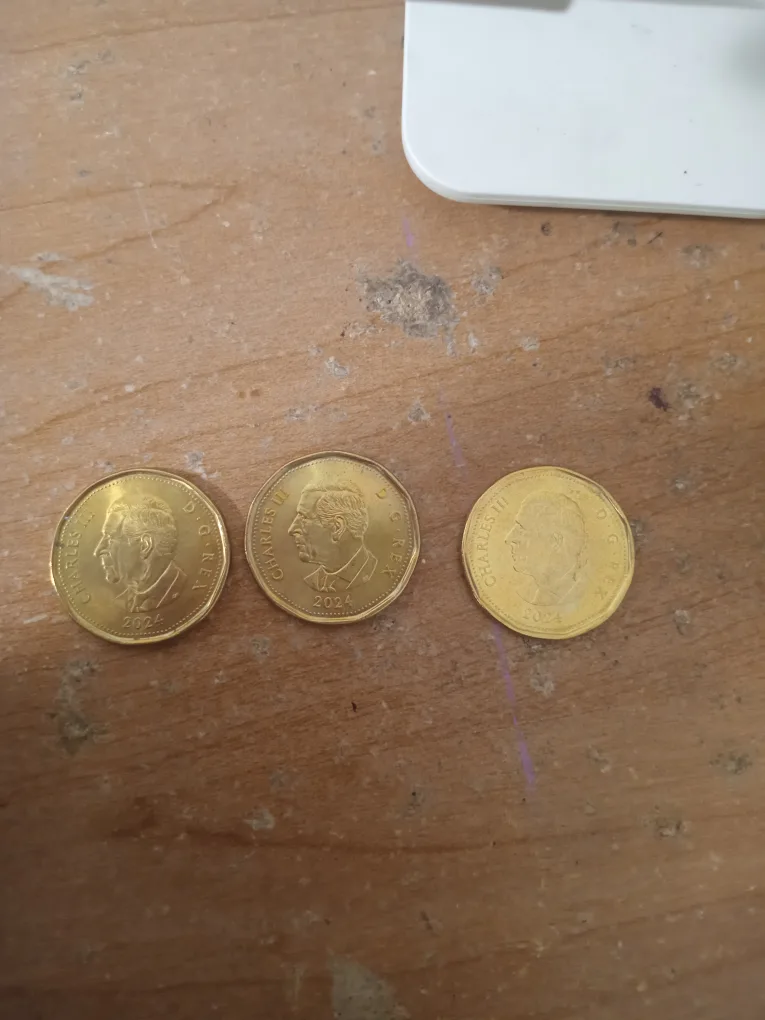 Set of Canadian Dollar Coins Loonie Charles iii thumbnail