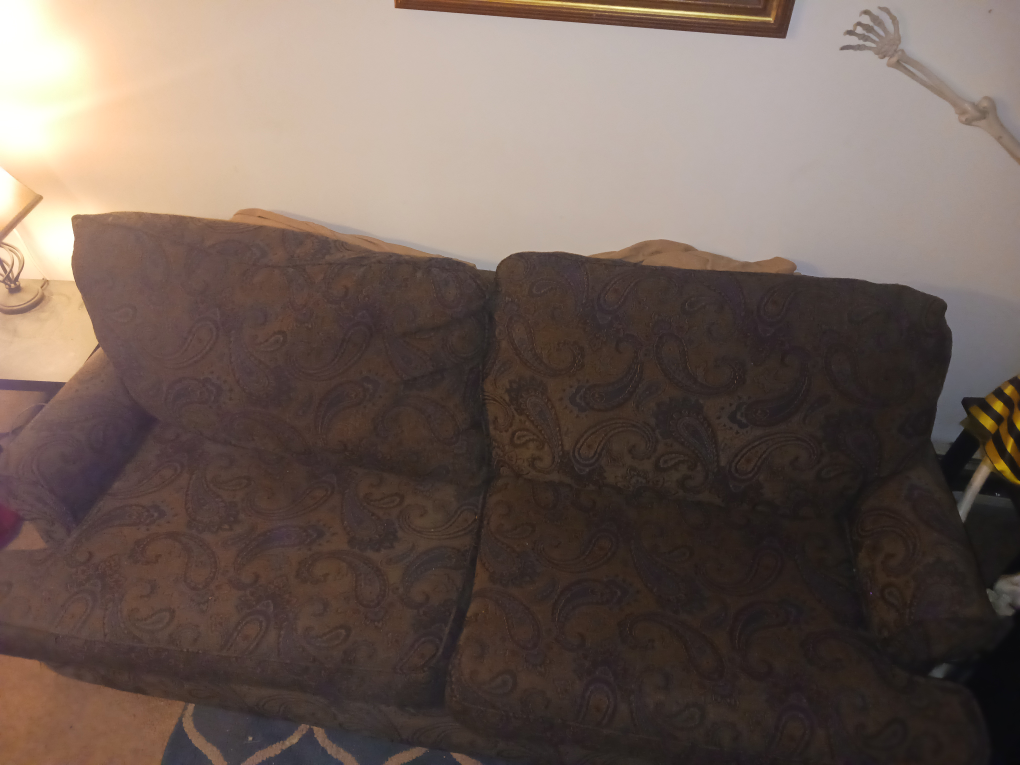 #Sale-Vintage Paisley Pattern Sofa with Pillows:Sleeper Pull Out - photo 4