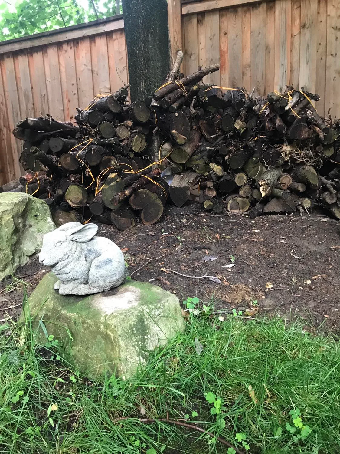 Firewood #freecycle thumbnail