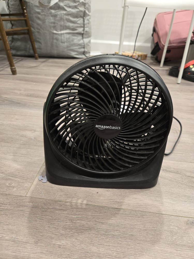 Amazon Basics Black Fan