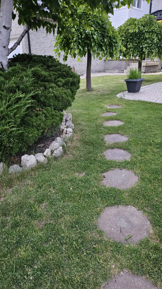 Garden Stepping Stones - Set of 6 - photo 5