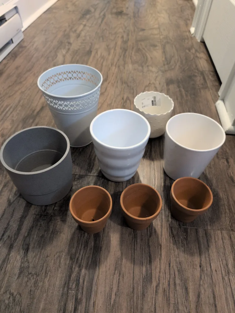 Assorted Decorative Flower Pots thumbnail