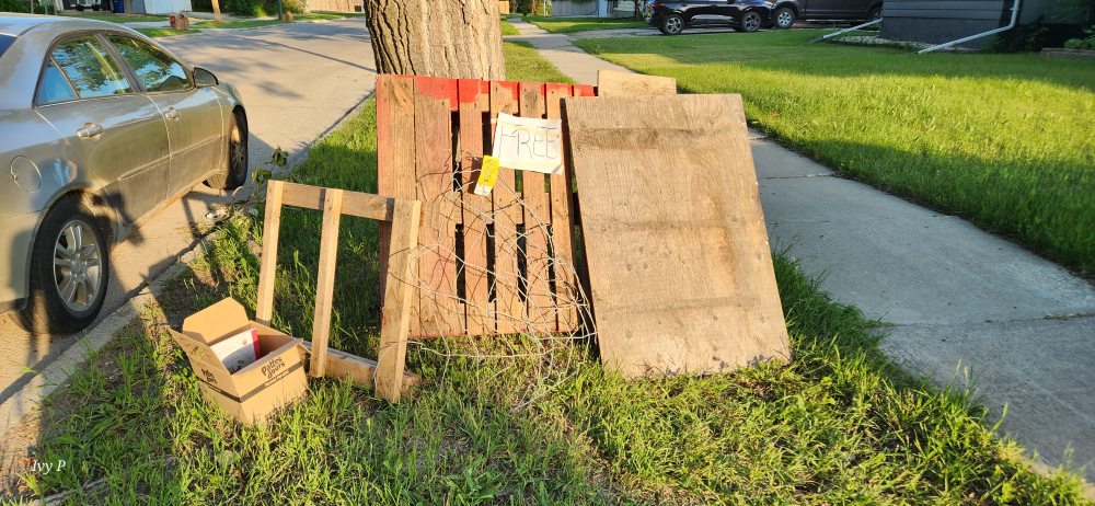 FREE - Assorted Wood Pieces  and other Items - FREE 💚
