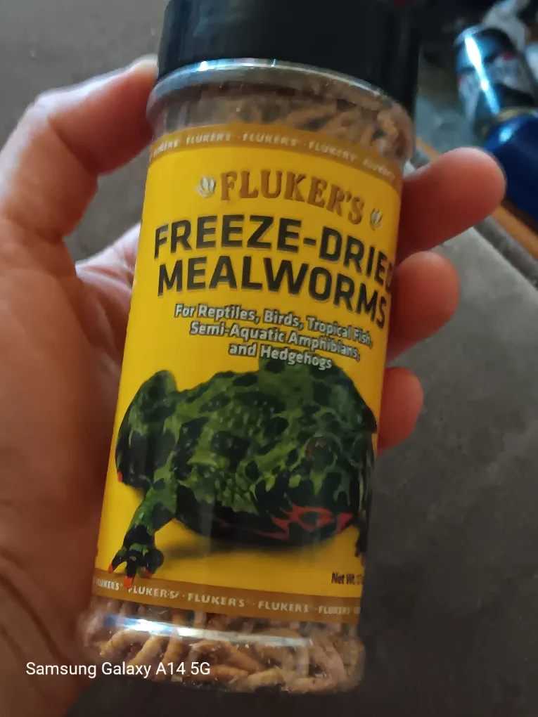 Fluker's Freeze-Dried Mealworms thumbnail