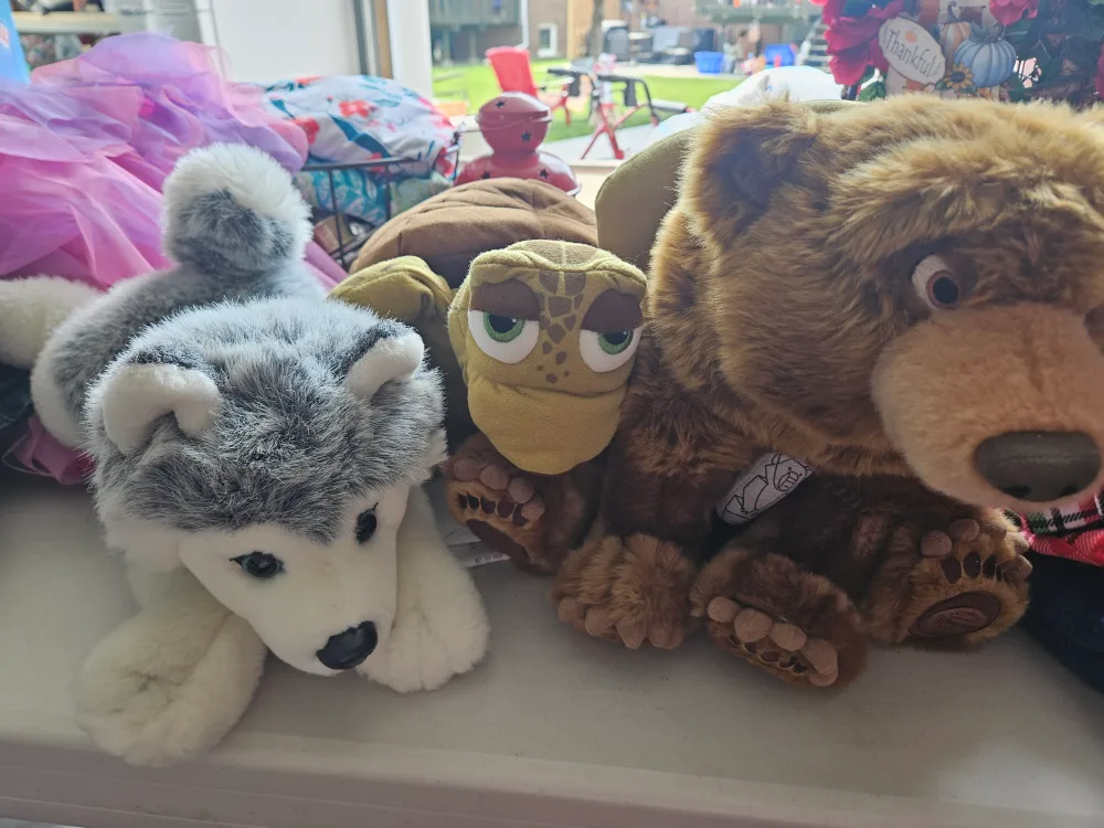 Stuffed Animal Bundle, Disney Bear, Turtle Puppet, Huskey thumbnail