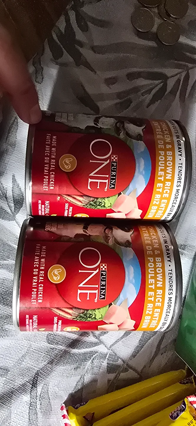 Purina One Chicken & Brown Rice Entree thumbnail