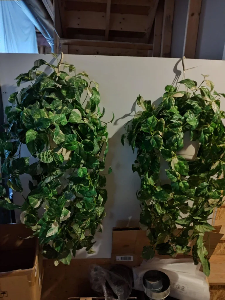 Artificial Hanging Plants thumbnail