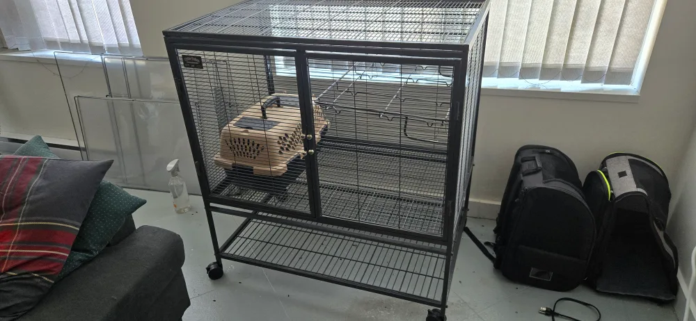 Single Level Critter Nation 🥕💚 image indicator(2)