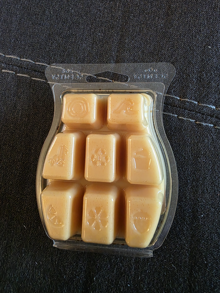 Scentsy Cookies for Santa Wax Melt #freecycle - photo 2