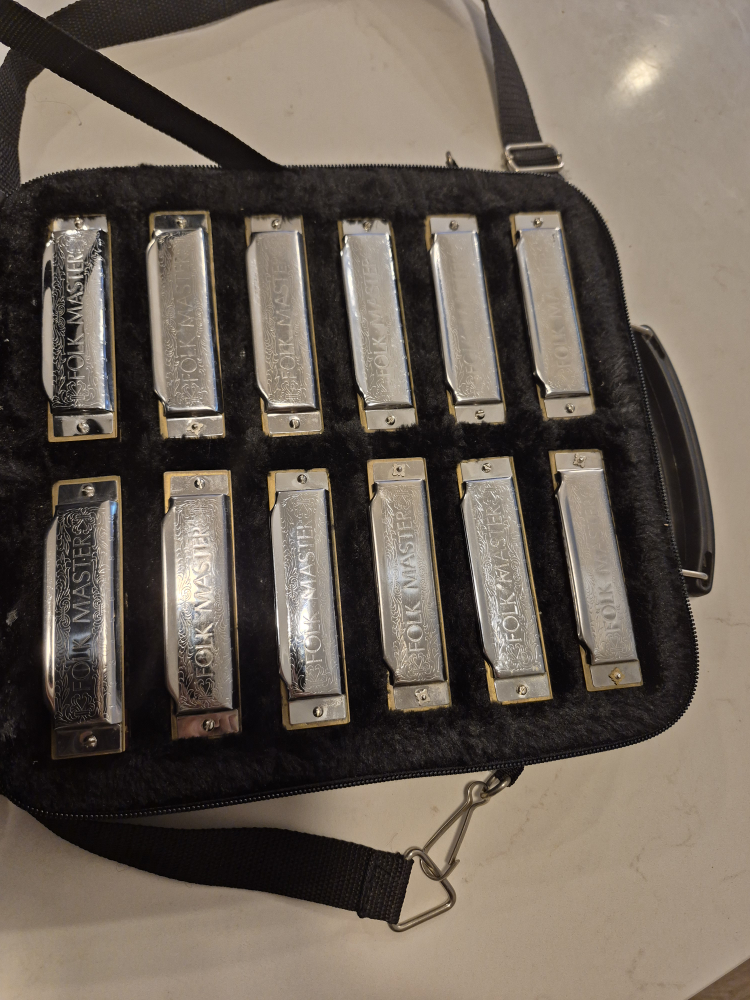 Suzuki Folk Master Harmonica Set - photo 2