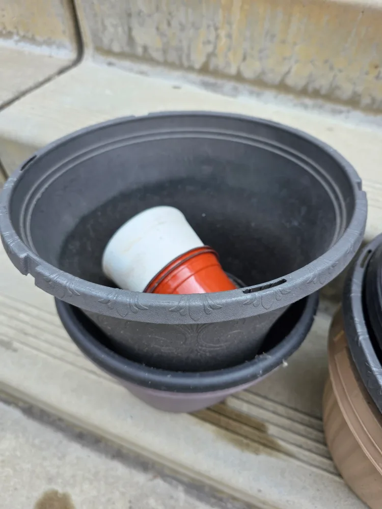 🥕 #FREECYCLE Free Various Plastic Plant Pots Planters image indicator(4)