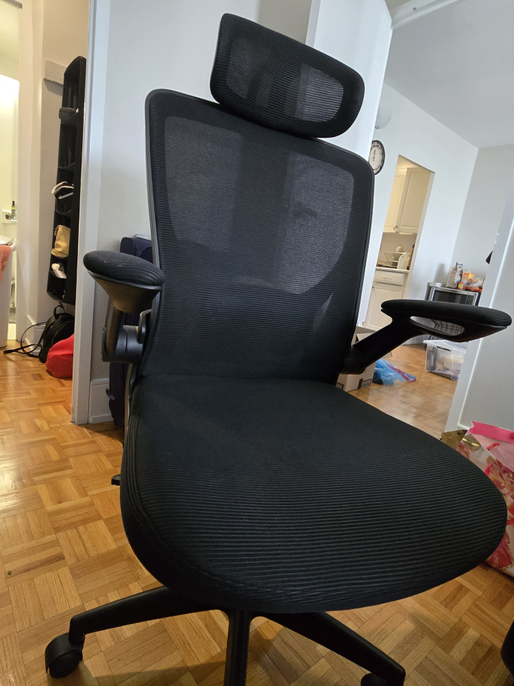Black Ergonomic Office Chair