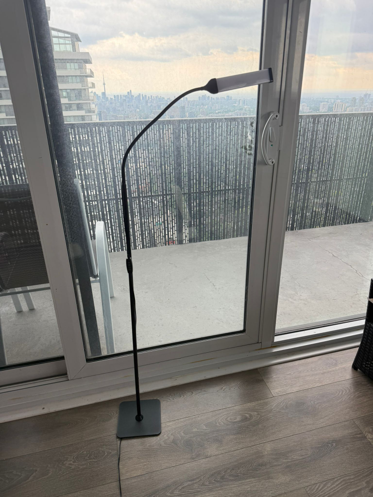 Adjustable Floor Lamp