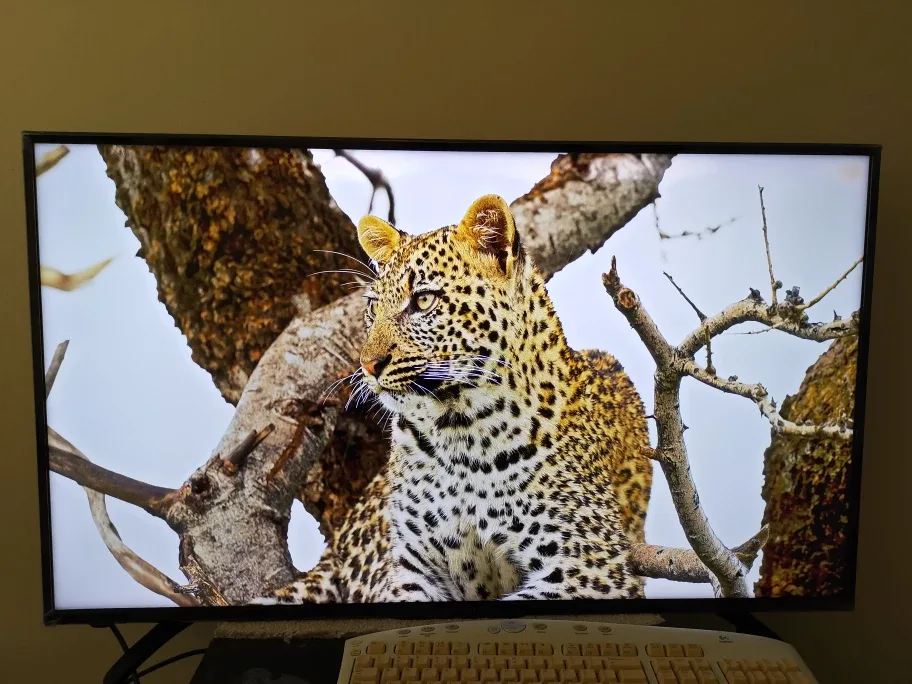 Sharp Roku TV 43" 4K UHD image indicator(6)