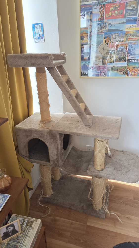 🥕 Cat Tree