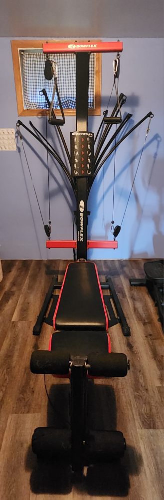 Bowflex PR1000 Home Gym - photo 2