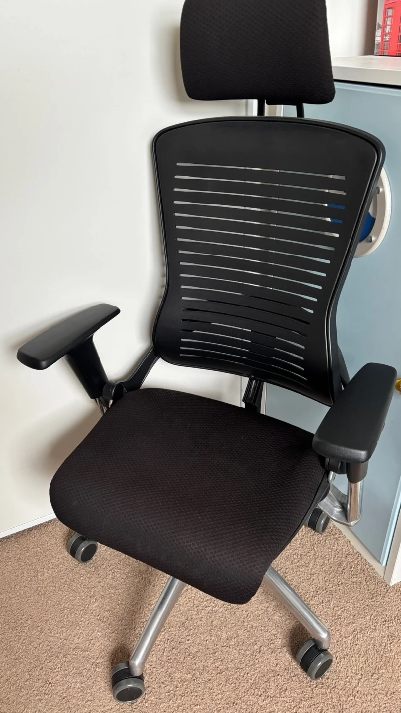 Ergonomic Office Chair with Headrest