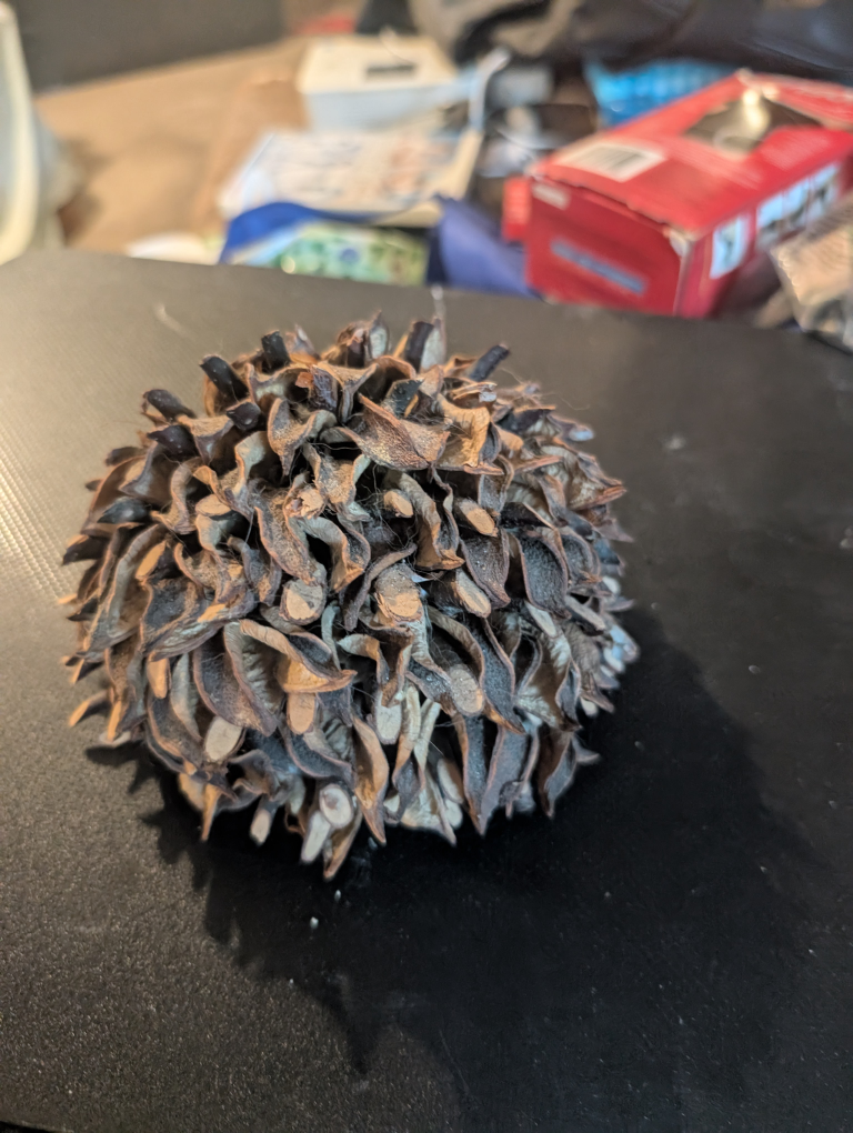 handcrafted Wooden hedghog - photo 2