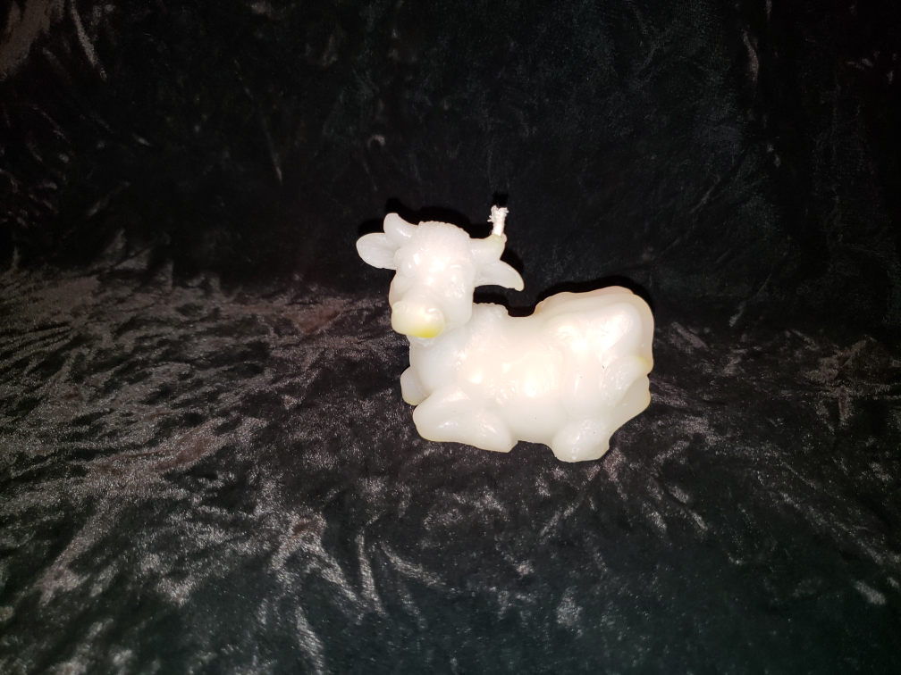 Animal Themed Beeswax Candles - photo 3