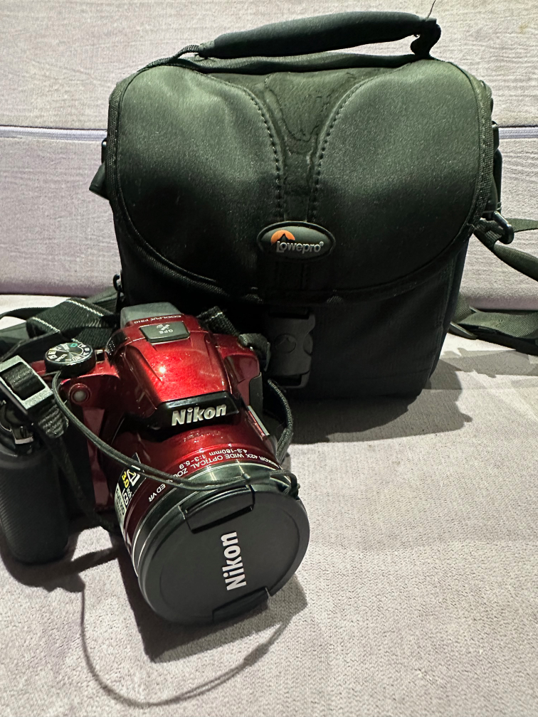 Nikon Digital Camera with 42x Optical Zoom