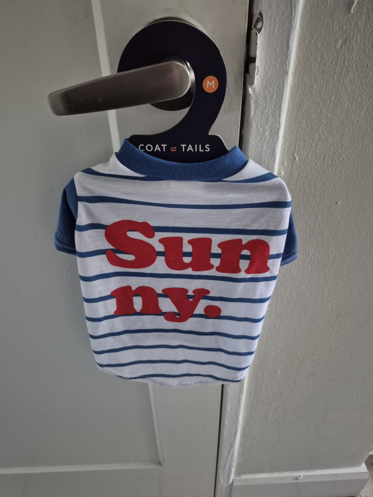 Blue and White Striped Dog Shirt