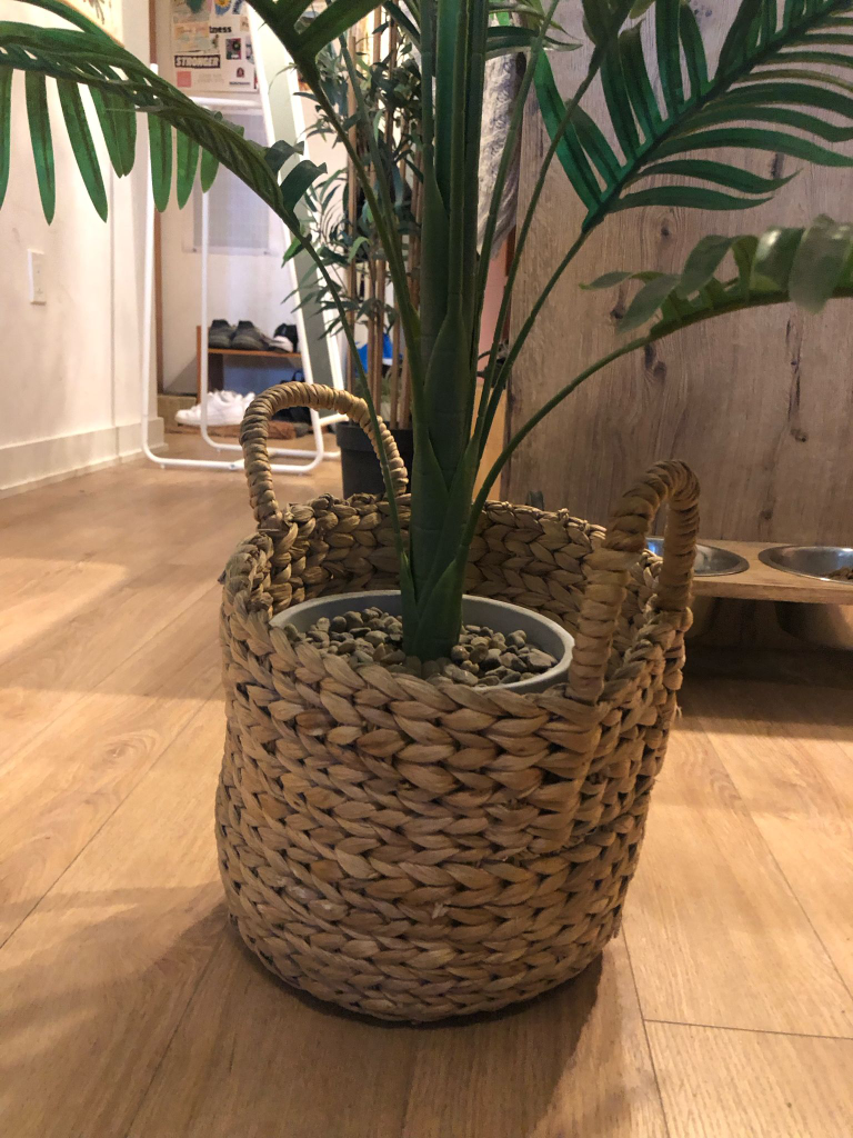 Faux Palm Tree In Woven Basket - photo 5
