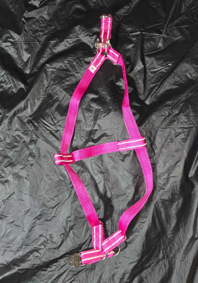 Dog Harness - Size S image indicator(4)