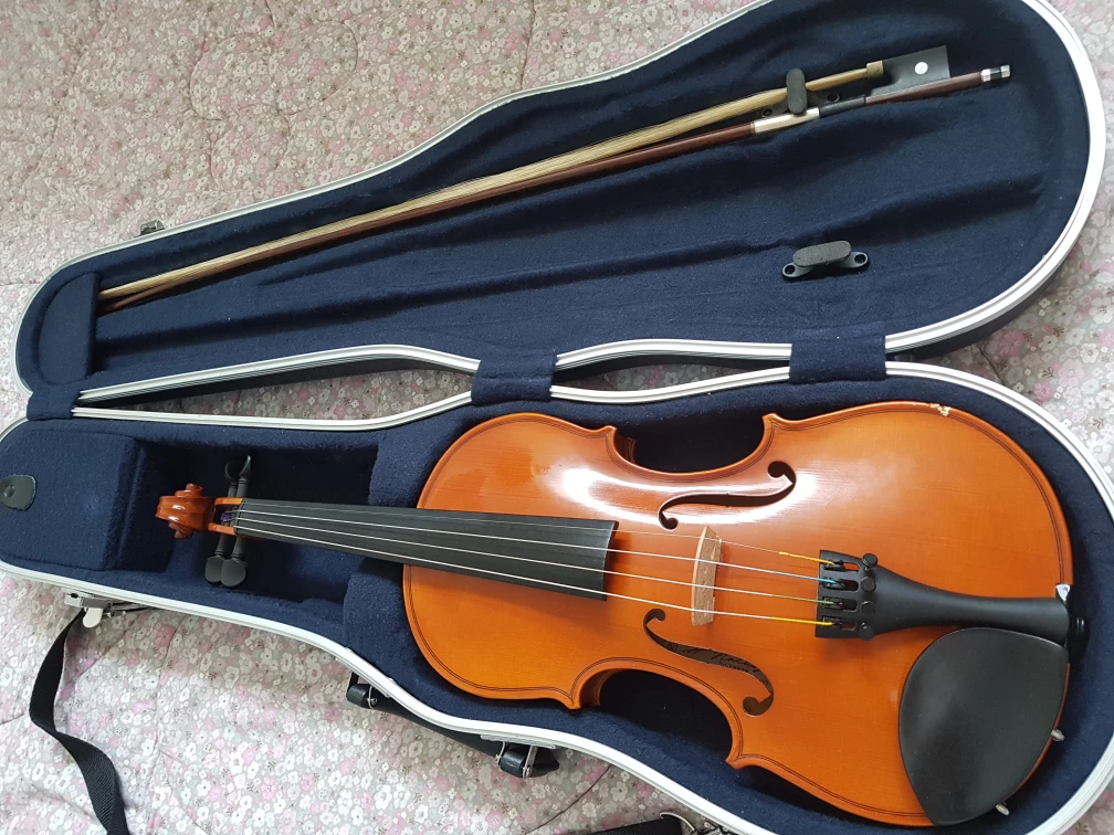 4/4 Violin with Case and Bow - photo 2