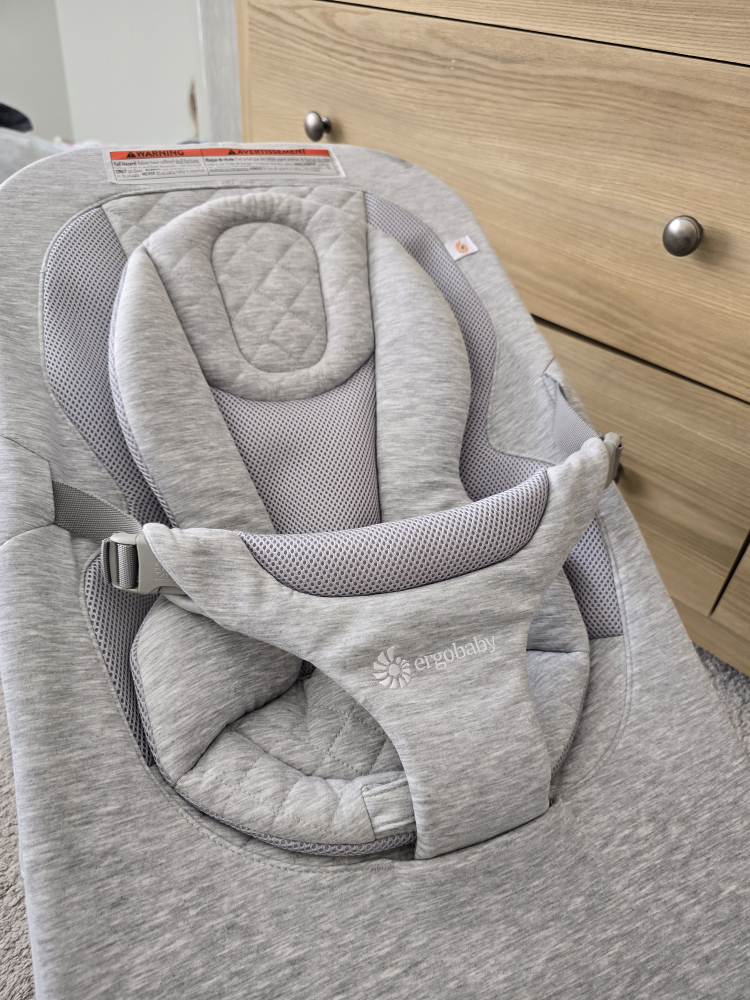 Ergobaby Baby Bouncer