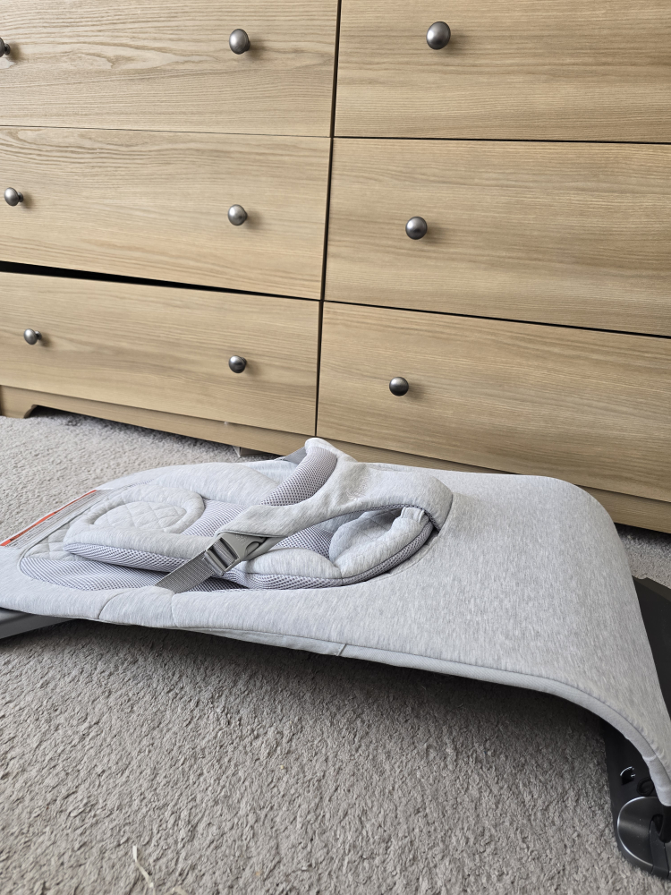 Ergobaby Baby Bouncer - photo 5