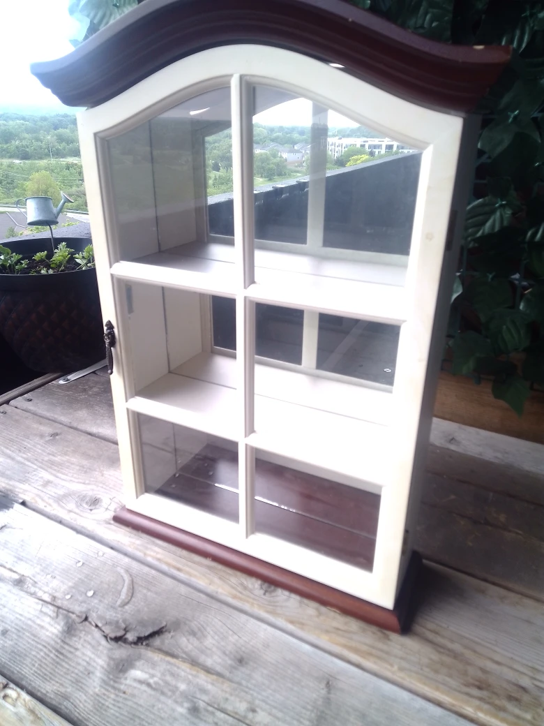 Wooden Display Cabinet with Mirrored Back