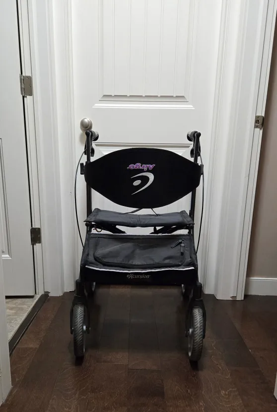 Airgo Excursion X20 Walker thumbnail