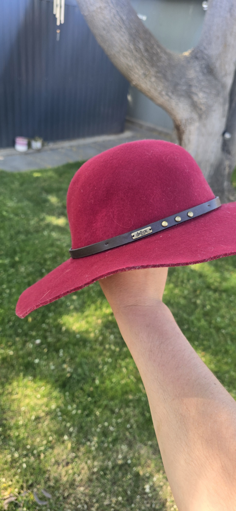 Delux Burgundy Hat - photo 2