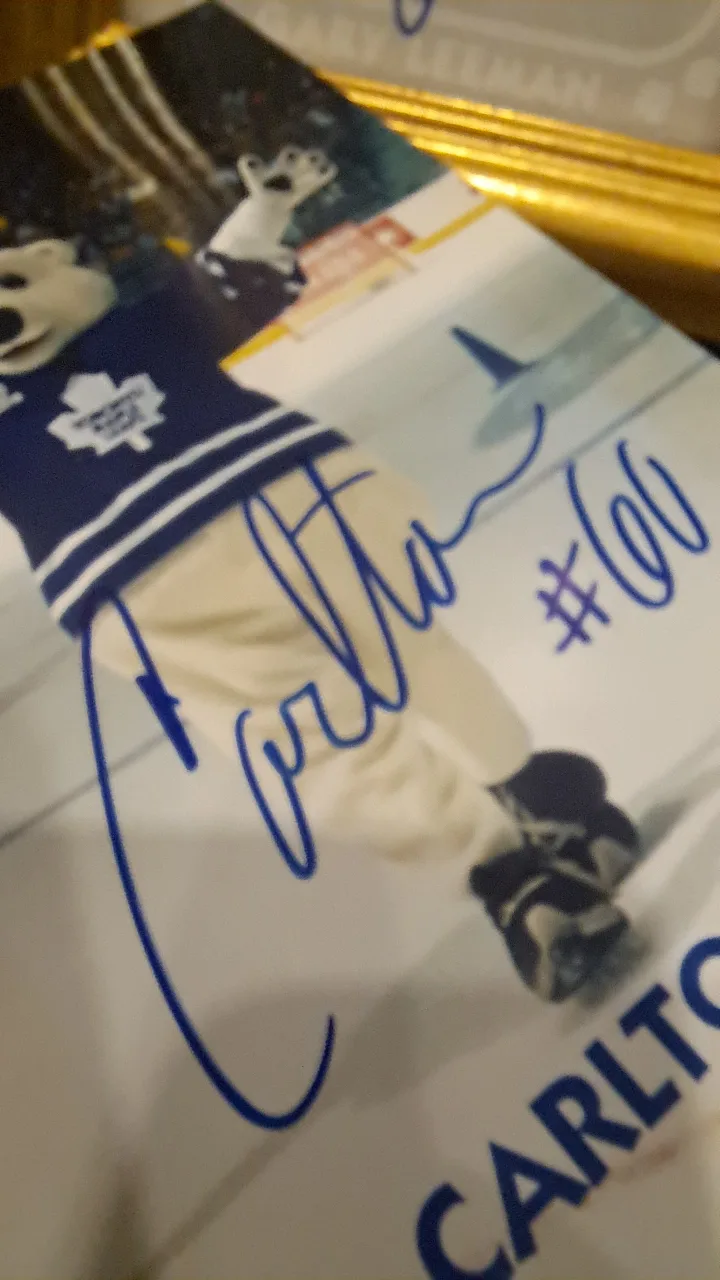 Toronto Maple Leafs 🍁 Framed Autographed Photos image indicator(5)