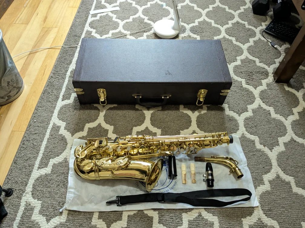 Alto saxophone image indicator(3)