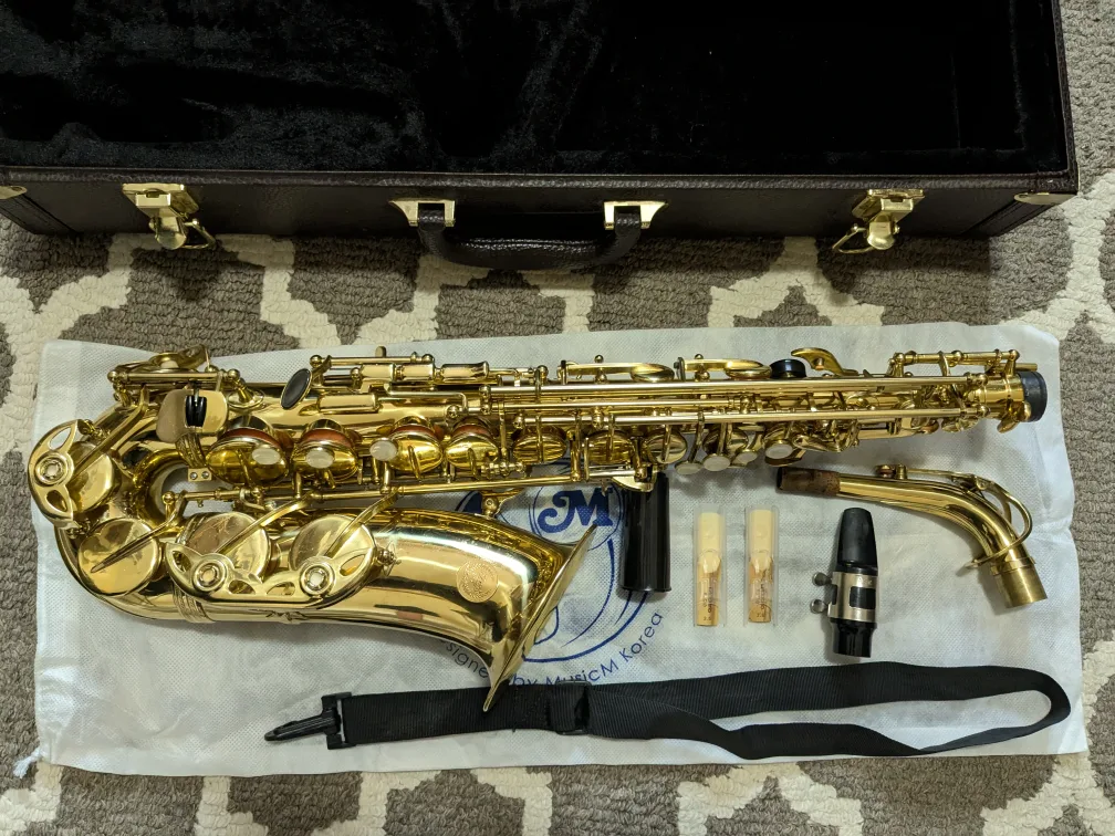 Alto saxophone image indicator(6)