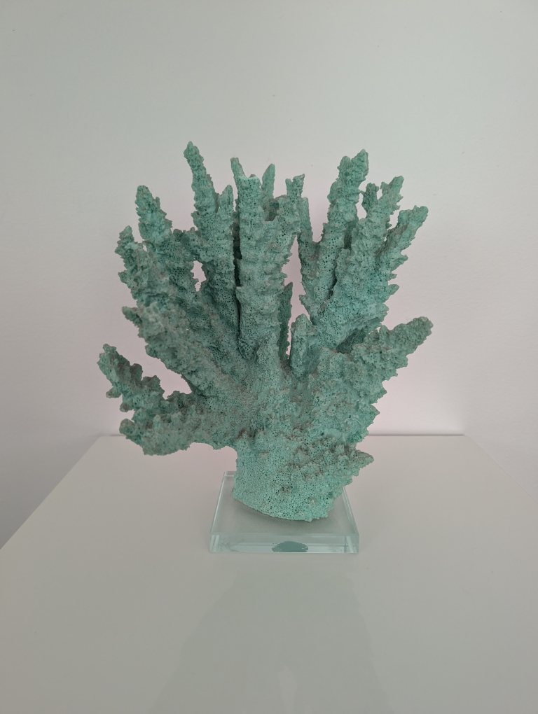 Coral Decoration - Turquoise