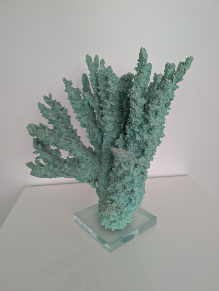 Coral Decoration - Turquoise - photo 2