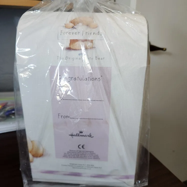 Forever Friends Graduation Bear image indicator(3)