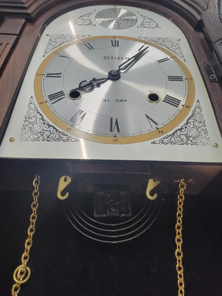 Citizen Tempus Fugit 31 Day Wall Clock image indicator(4)