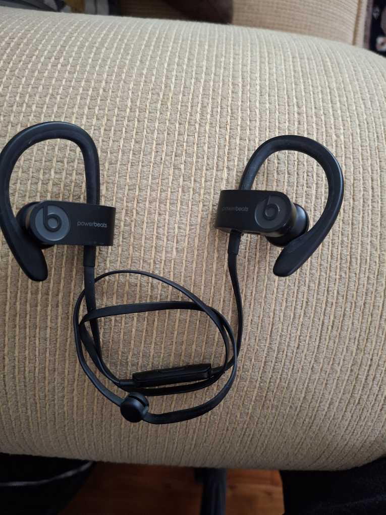 Powerbeats Pro Wireless Earphones - Black - photo 2