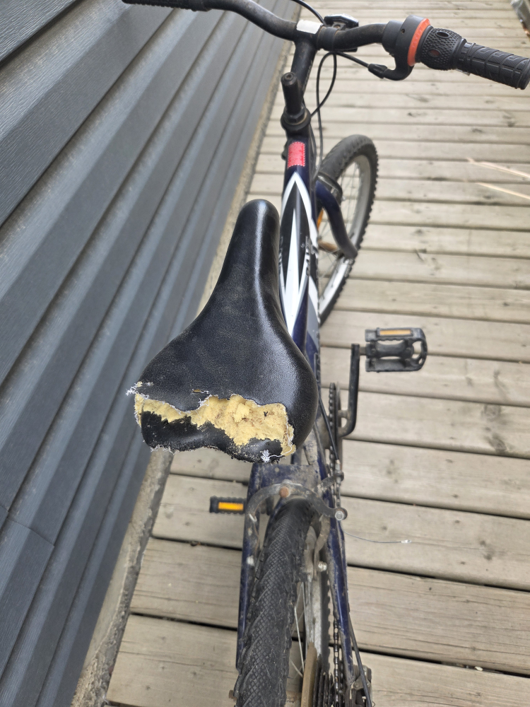 Used 20" Bike for Sale - photo 2