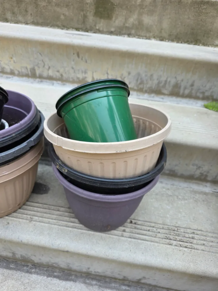 🥕 #FREECYCLE Free Various Plastic Plant Pots Planters image indicator(2)