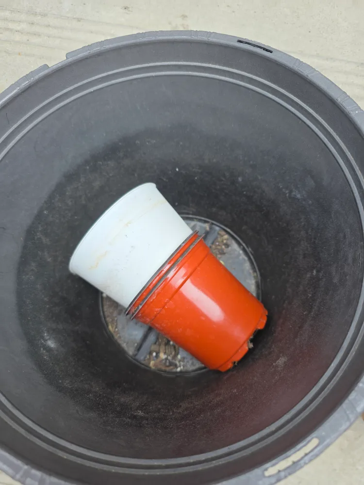 🥕 #FREECYCLE Free Various Plastic Plant Pots Planters image indicator(5)